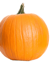 Screen Shot 2015-10-02 at 1.47.58 PM